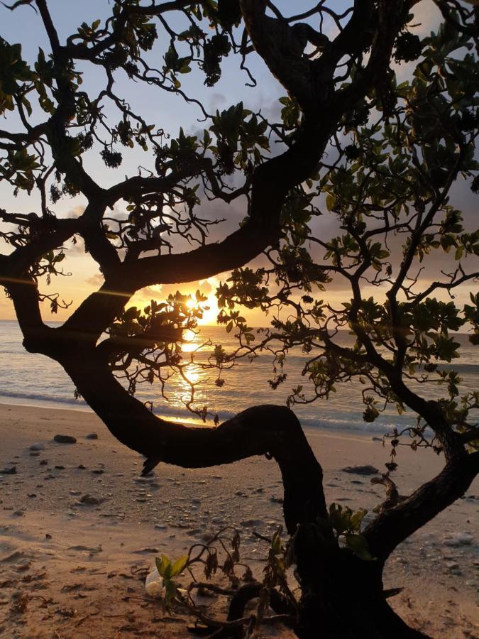 Isle Royal Inn Fuvahmulah Экстерьер фото