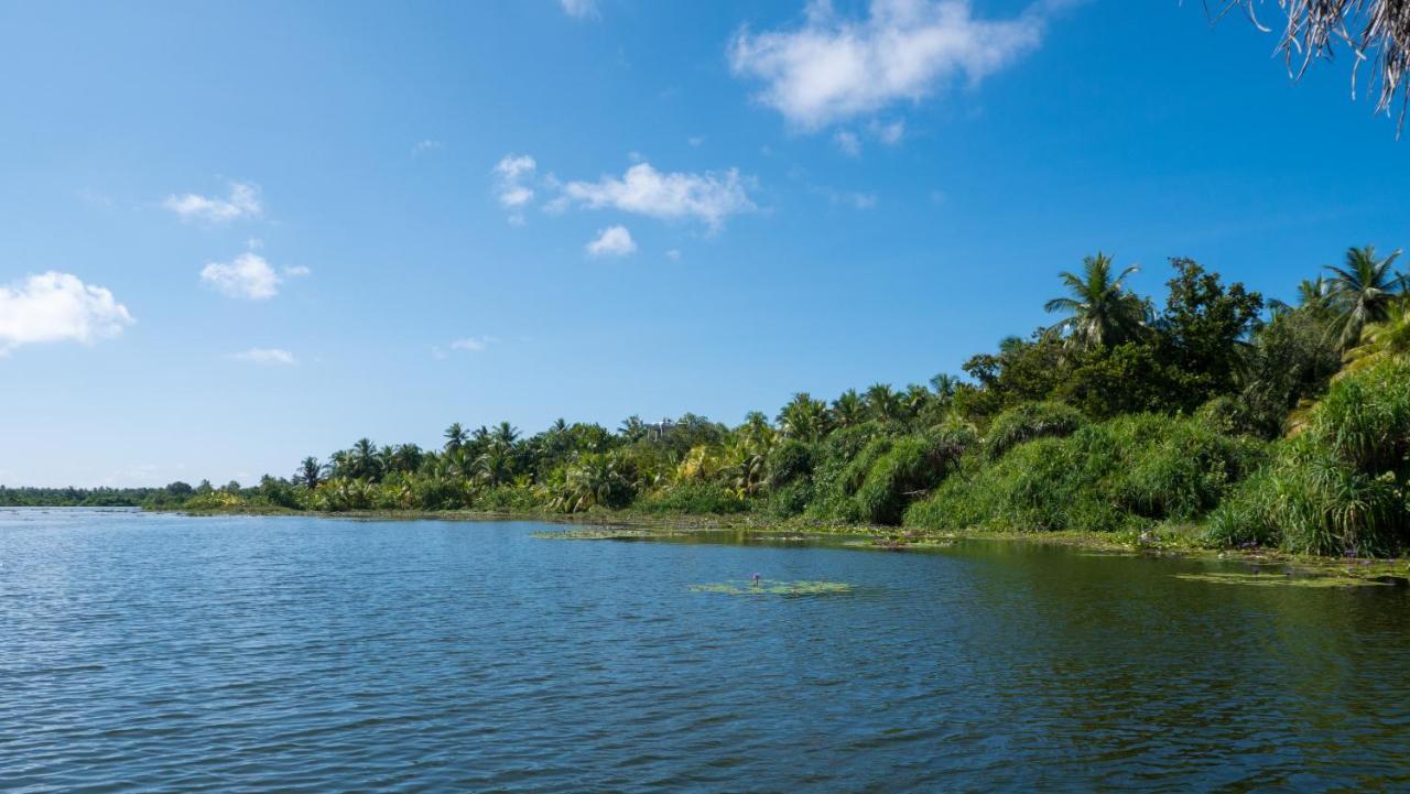 Isle Royal Inn Fuvahmulah Экстерьер фото